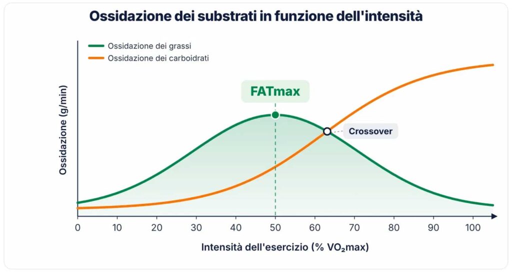 Curva di ossidazione di grassi e carboidrati in funzione dell’intensità con picco FATmax