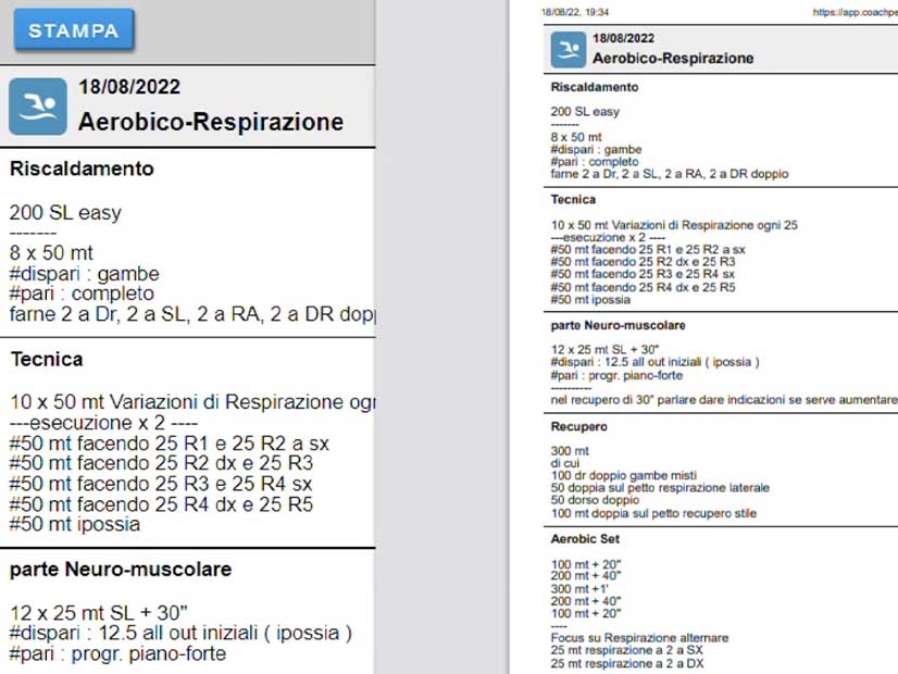 stampa allenamenti